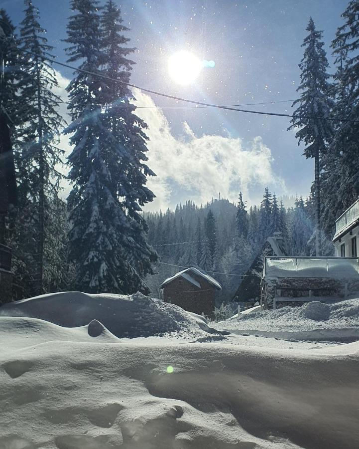 Jahorina Villa In エクステリア 写真